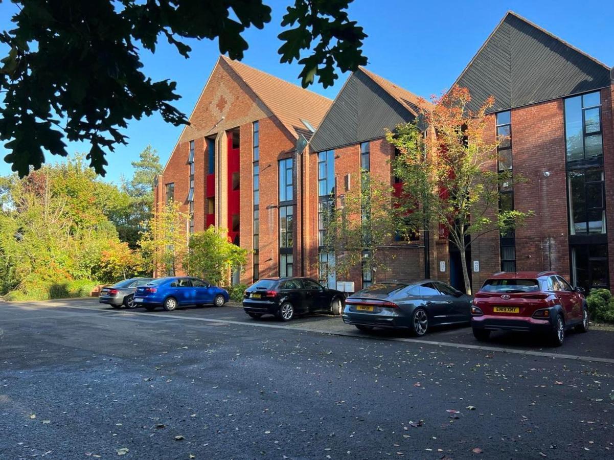 Modern Luxurious Apartment W/ Patio Balcony & View Jordanstown Exterior foto